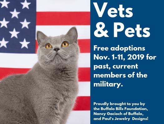 pets for free adoption