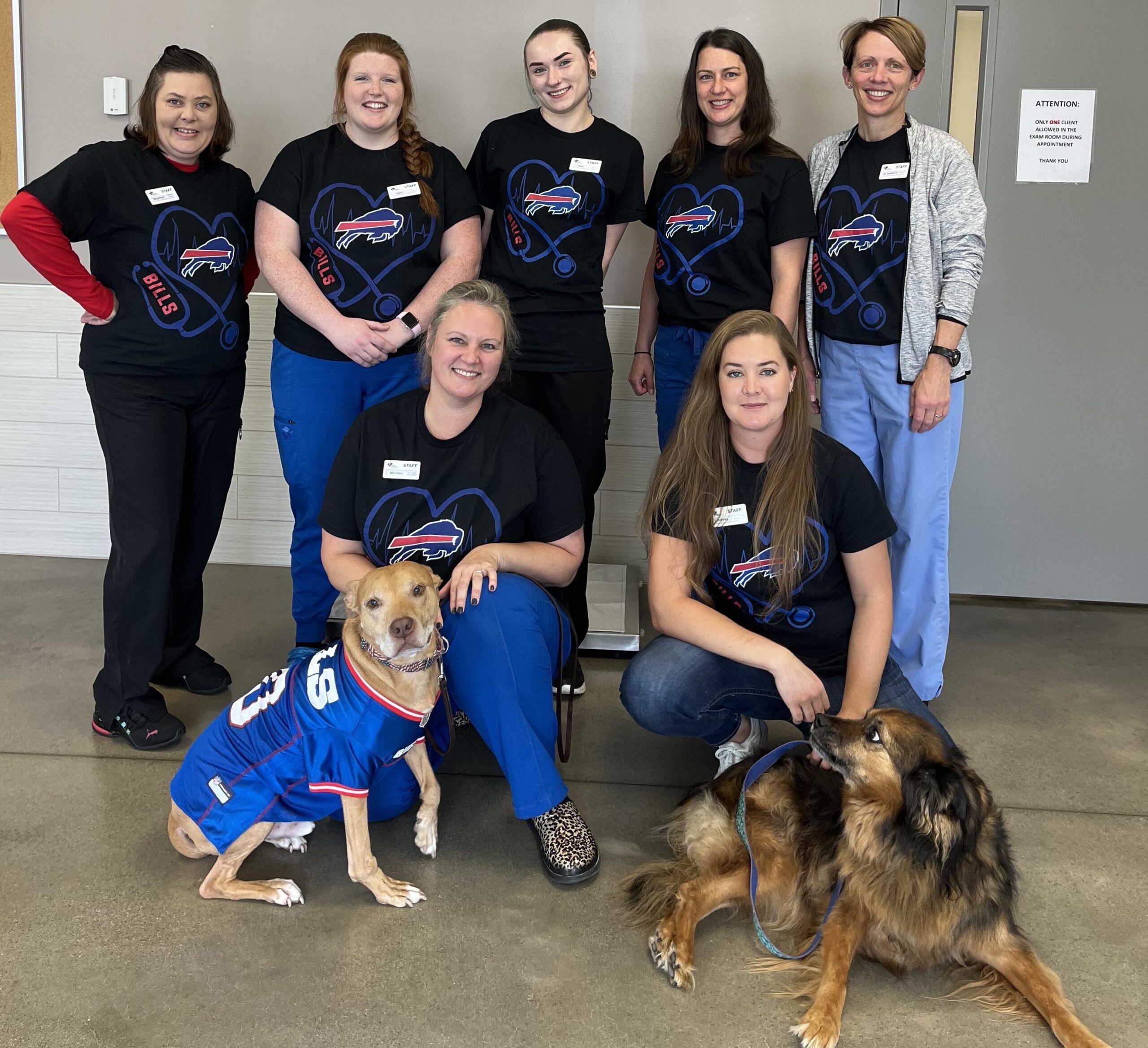 Lipsey Veterinary Clinic - Dog, Cat, Pet Adoption, Animal Shelter in Buffalo