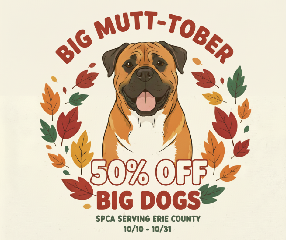 SPCA Serving Erie County Big Mutt-tober October 10 - 31 2025 with dog in leaf wreath
